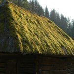 Freilichtmuseum_Strohdach Strohdach