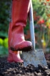 Gartenarbeiten - Beschäftigungsprojekt des Landes Gartenarbeiten - Beschäftigungsprojekt des Landes