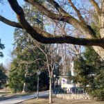 Stadtpark Graz
