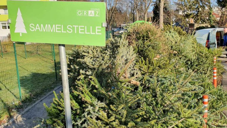 Christbaum Sammelstellen in Graz