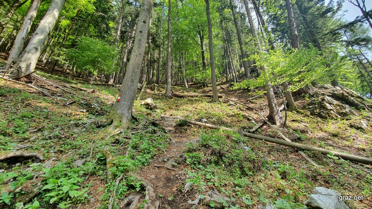 drachenhoehle-mixnitz-wanderung_16