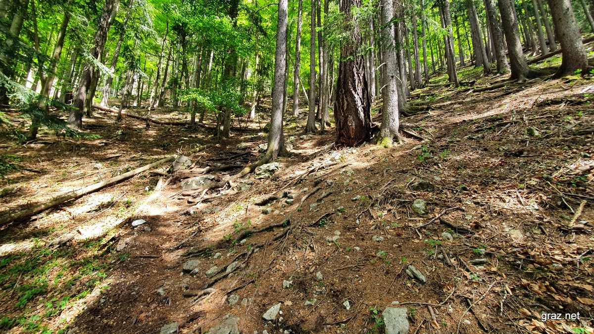 drachenhoehle-mixnitz-wanderung_19