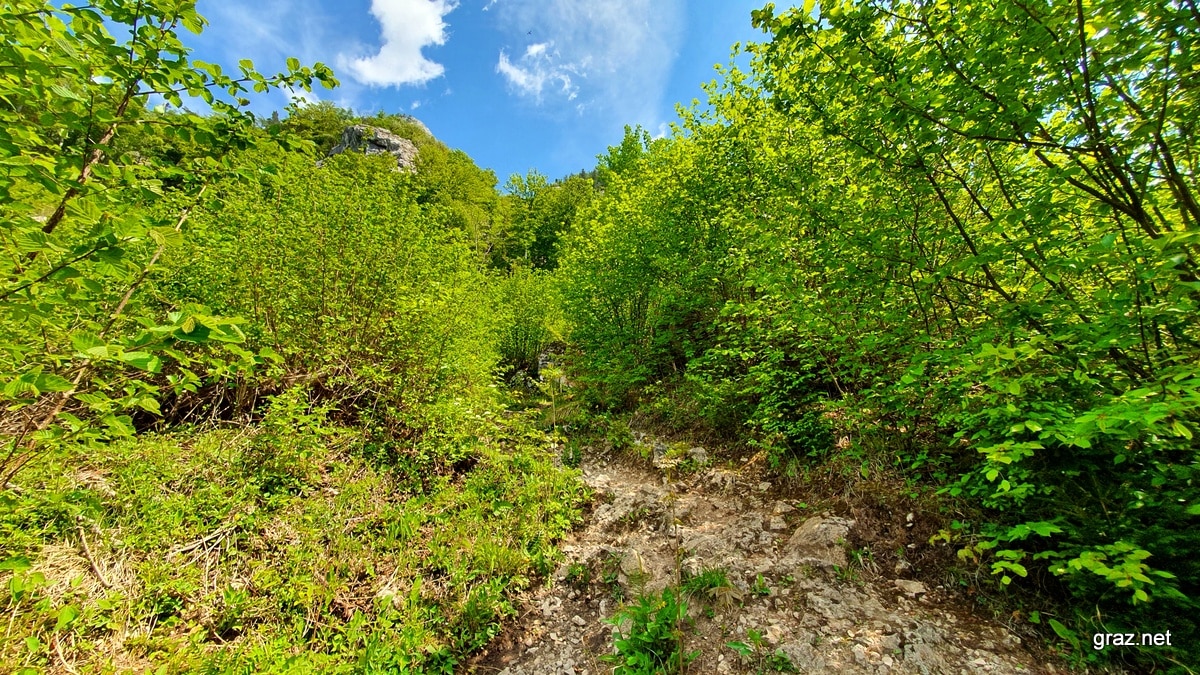 drachenhoehle-mixnitz-wanderung_21