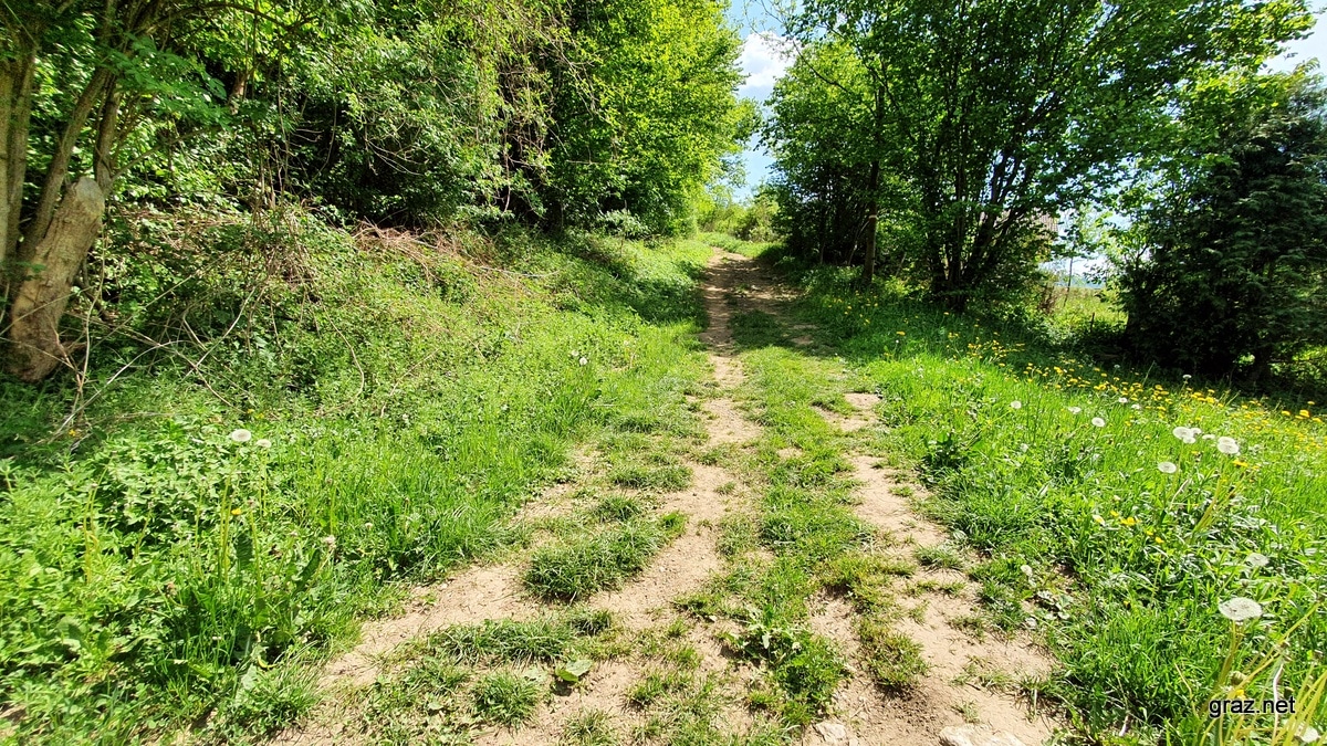 drachenhoehle-mixnitz-wanderung_22