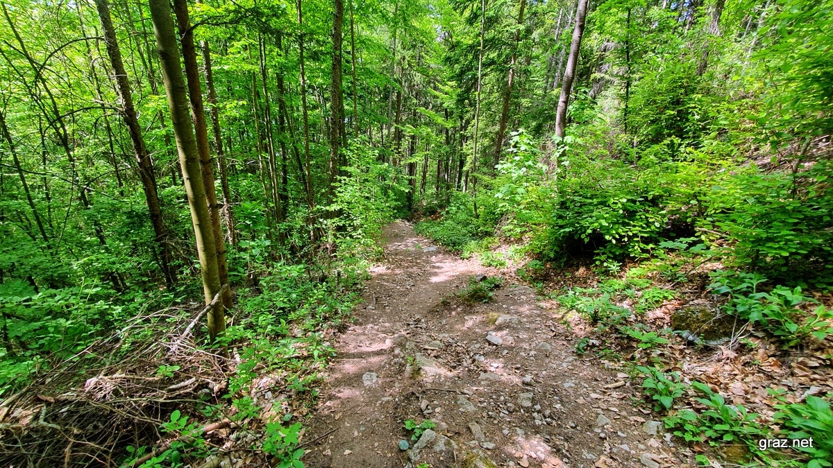 drachenhoehle-mixnitz-wanderung_23
