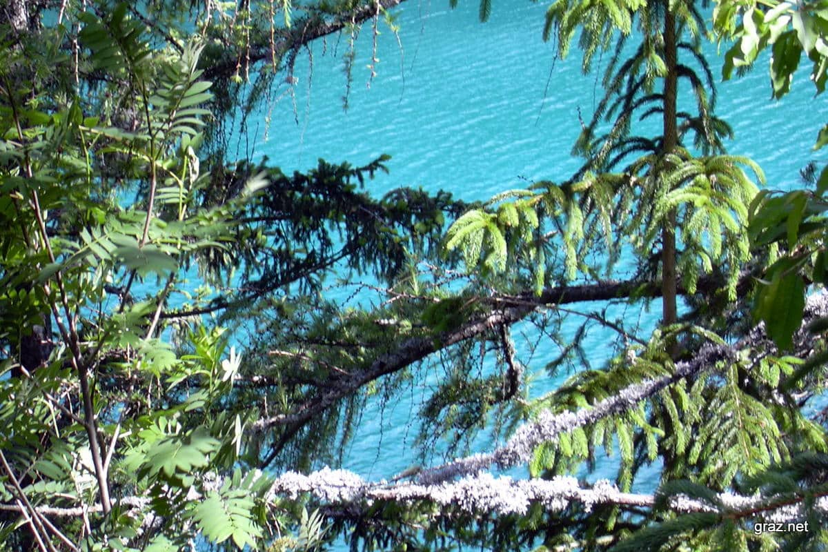 Grüner See Ausflugsziel und Naturjuwel Infos und Tipps Fotos