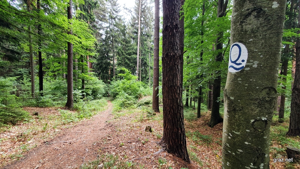 quellenwege-st-radegund_23