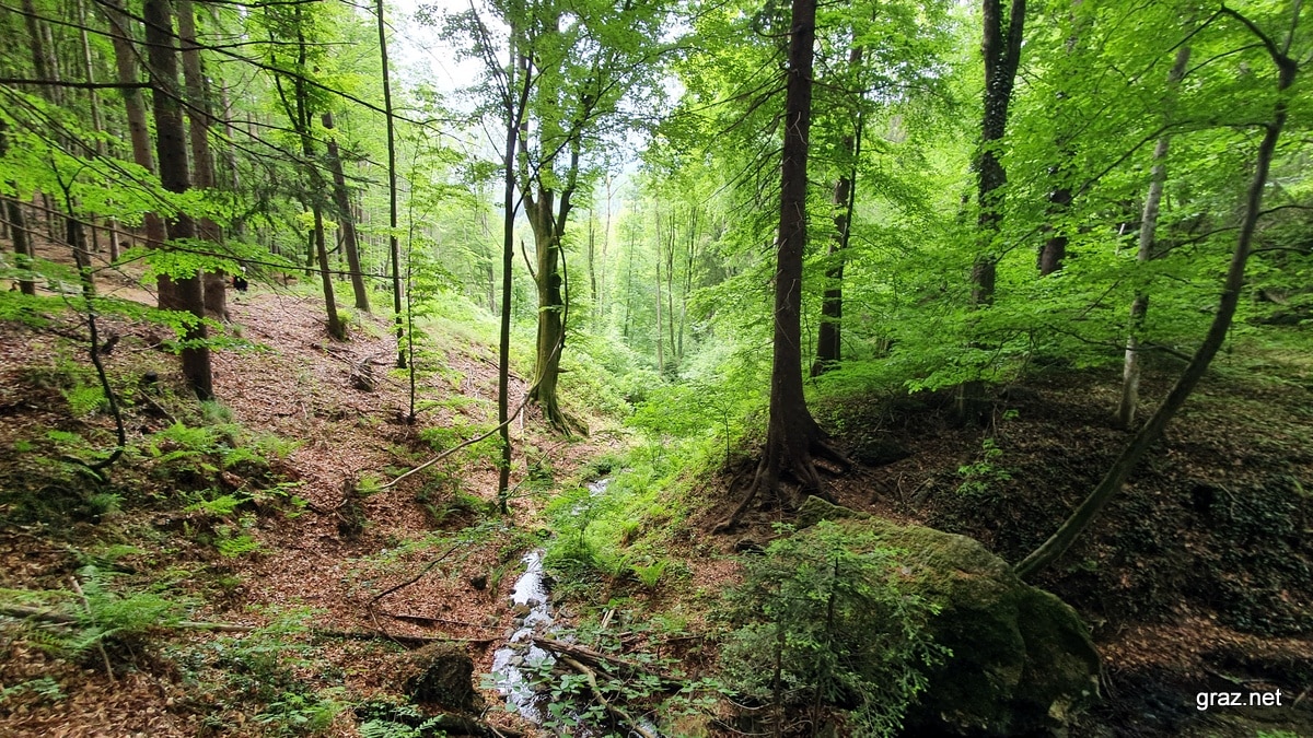 quellenwege-st-radegund_25
