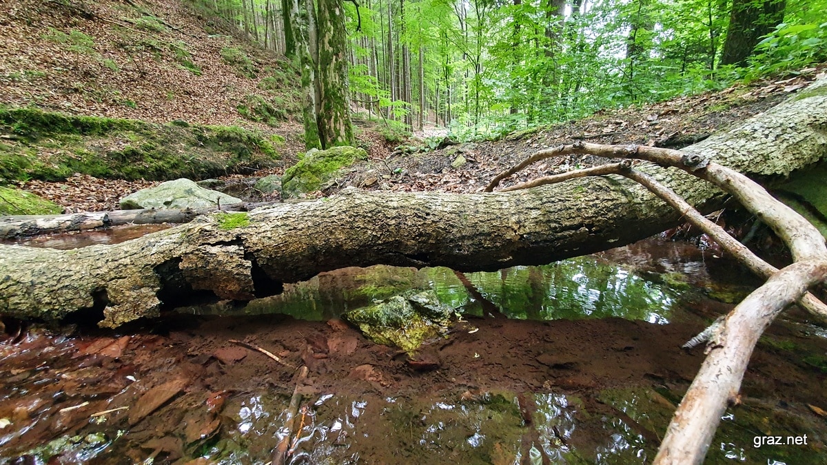 quellenwege-st-radegund_26