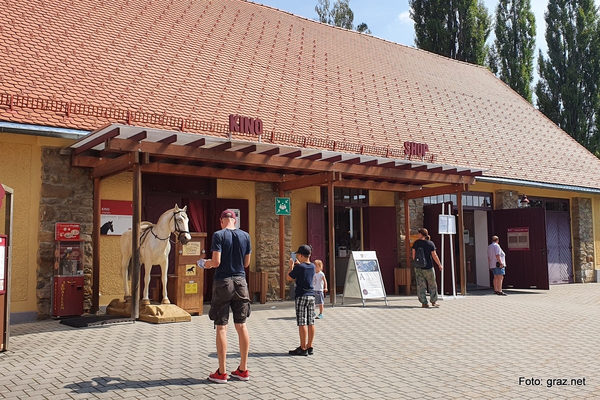 lipizzanergestuet-piber_04