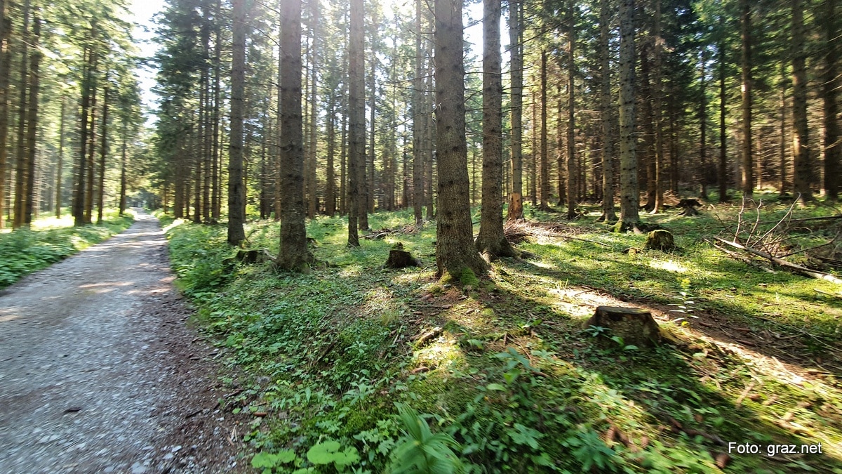 wanderung-rote-wand-tyrnauer-alm_04