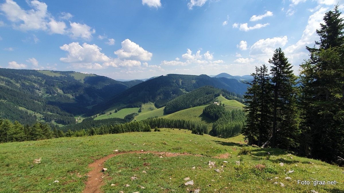 wanderung-rote-wand-tyrnauer-alm_11