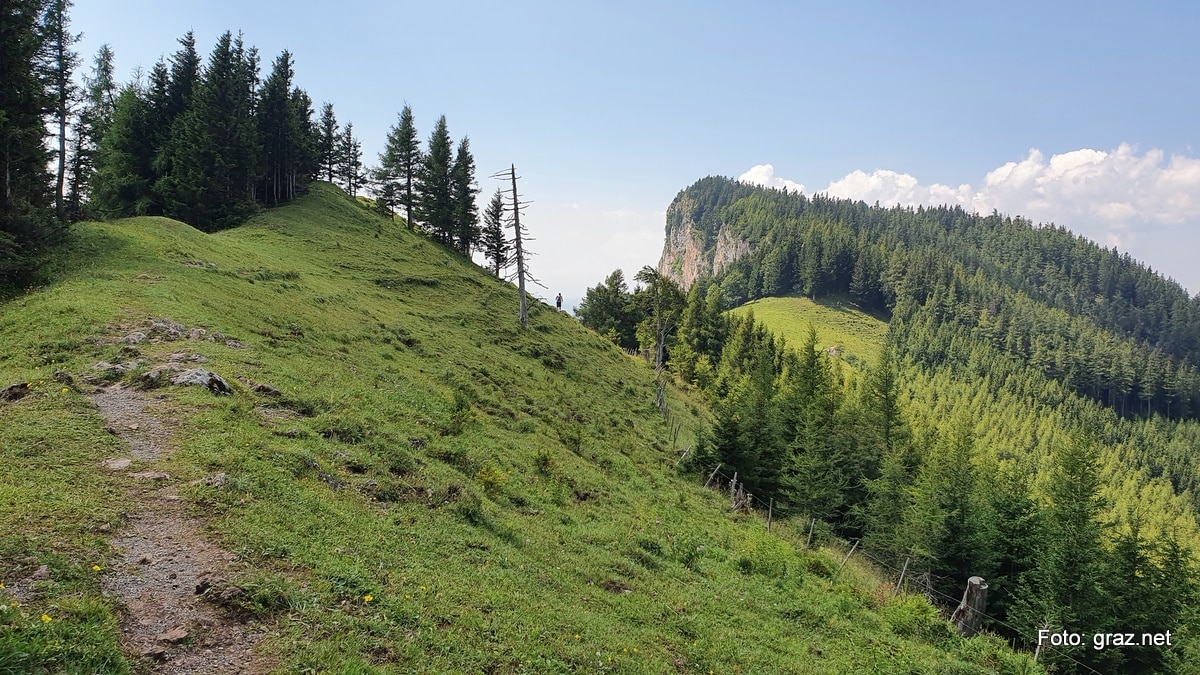 wanderung-rote-wand-tyrnauer-alm_12