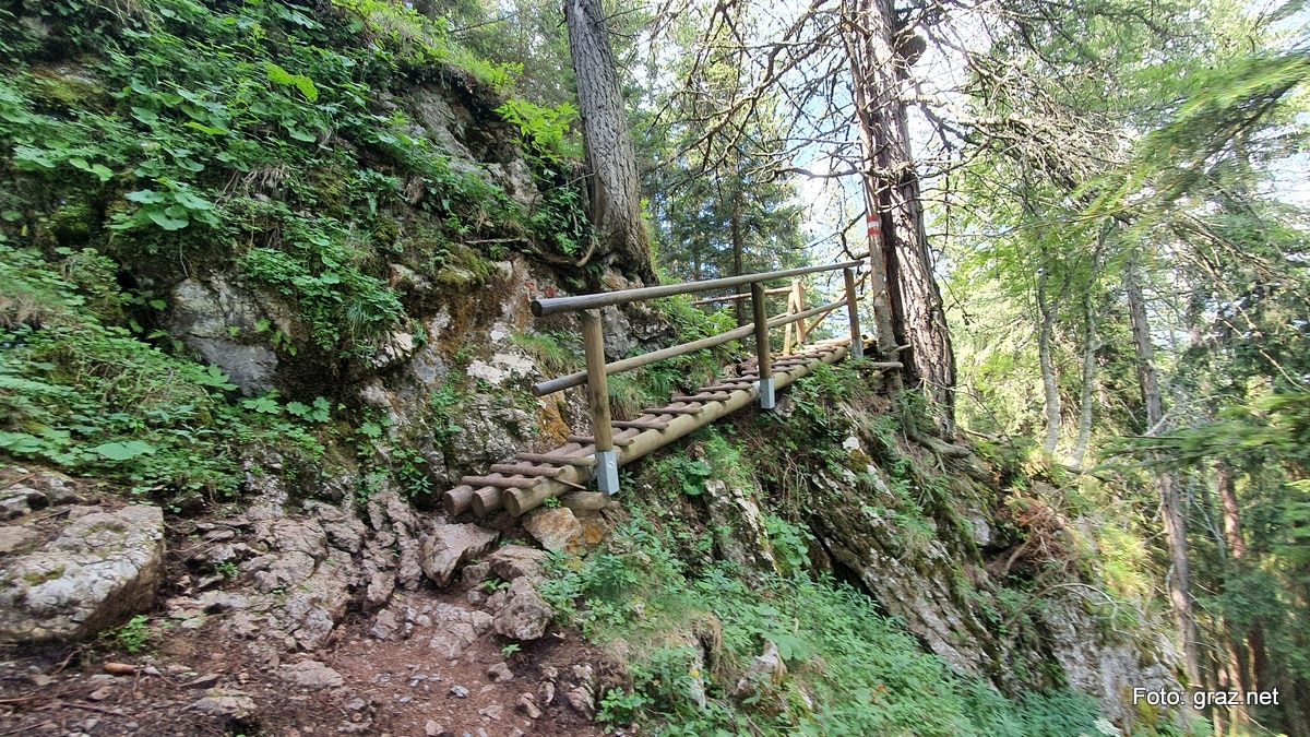 wanderung-rote-wand-tyrnauer-alm_15