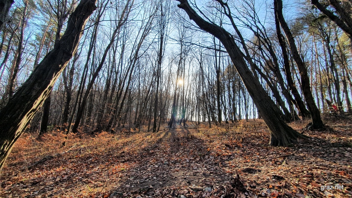 plabutsch-herbst-in-graz-4