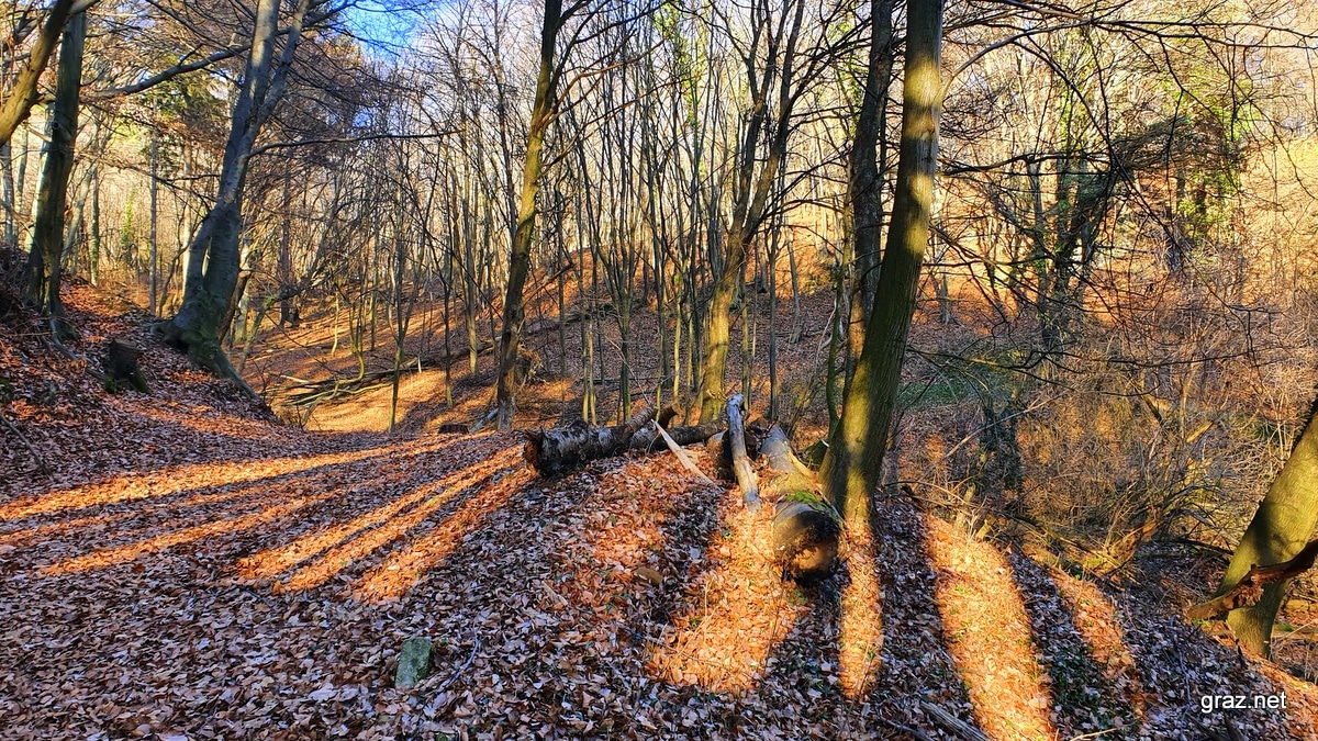 plabutsch-herbst-in-graz-5