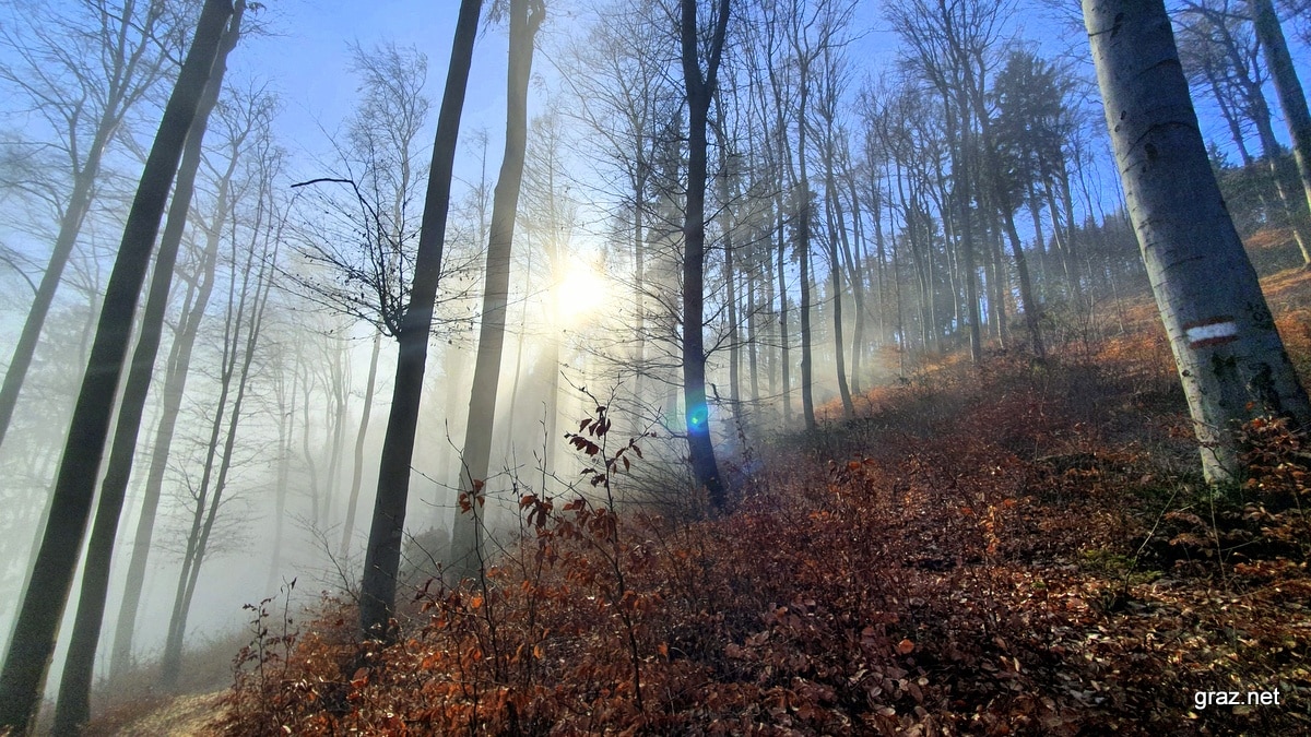 plabutsch-herbst-in-graz-7