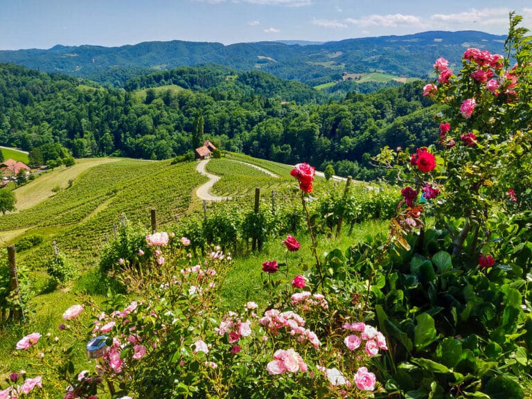 lokalguide.com – Der neue kulinarische Führer für Graz und die Steiermark