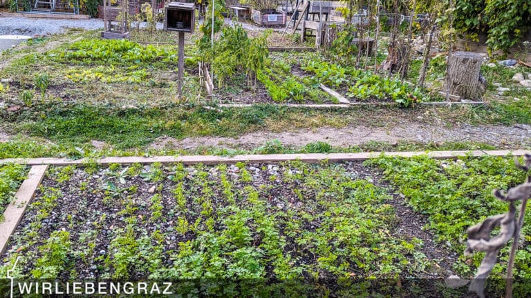 Die Lust am Garteln: Urban Gardening in Graz