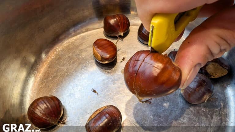 Rezept für Kastanienreis Maronipüree einfach selber machen Rezept für Kastanienreis Maronipüree einfach selber machen