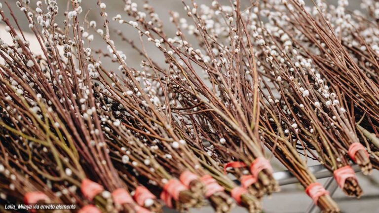 Alle Palmweihen in Graz: Termine am Palmsonntag 2026