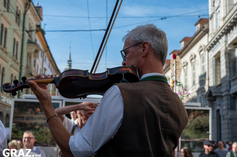 Geiger von hinten vor einem Publikum
