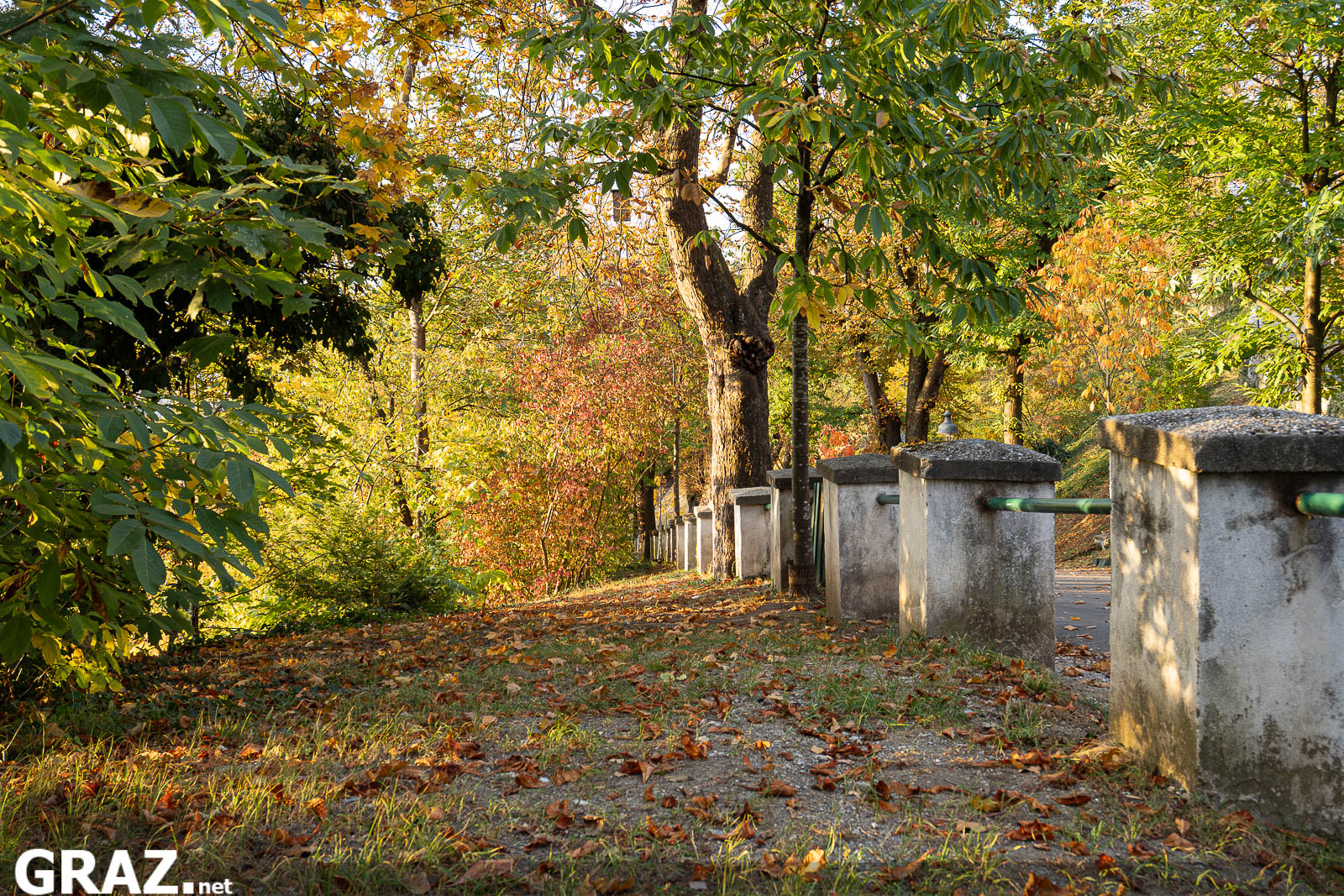Mit Herbstlaub bedeckter Weg am Grazer Schloßberg zwischen Bäumen und einer hellen Steinbalustrade