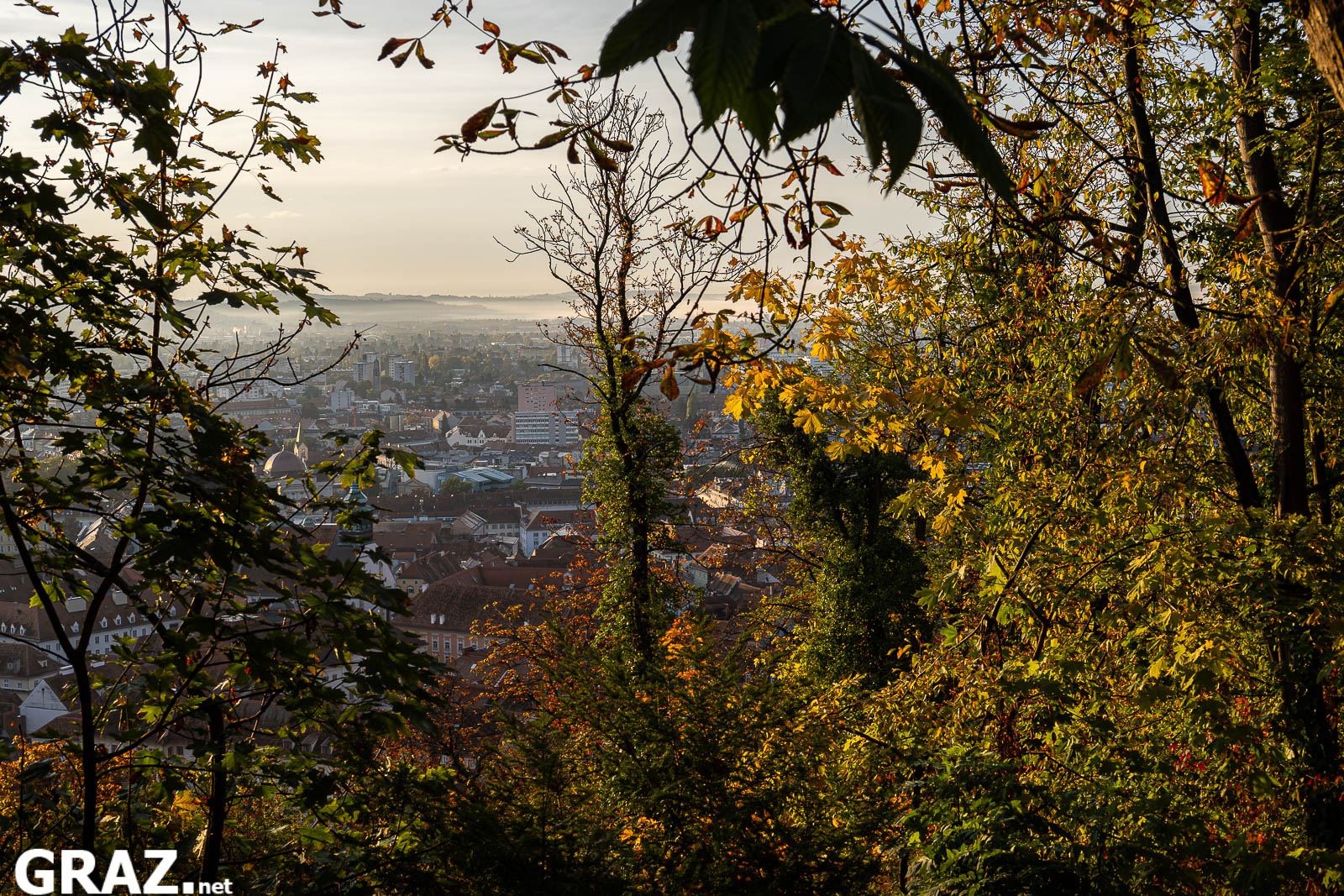 Blick durch herbstliche Zweige am Schloßberg auf die Dächer von Graz im Morgenlicht
