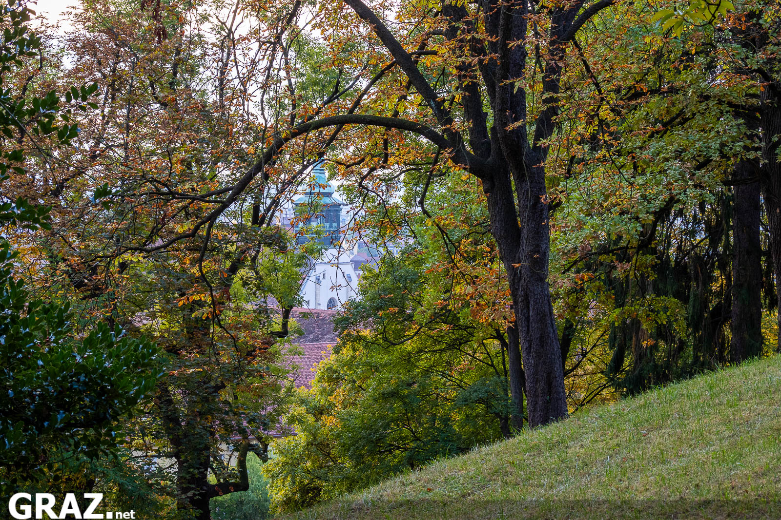 Blick durch grüne und orange Blätter am Grazer Schloßberg auf einen Kirchturm in der Altstadt