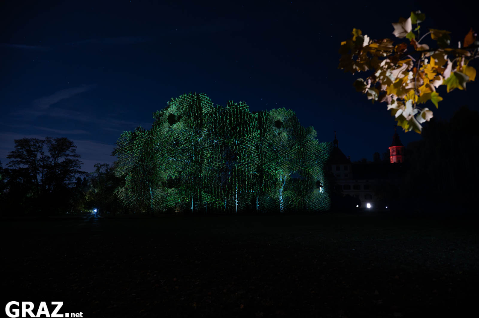 Grüne Lichtmuster von Javier Rieras „Resonanzen der unsichtbaren Ordnung“ auf Baumkronen im Schlosspark Eggenberg.
