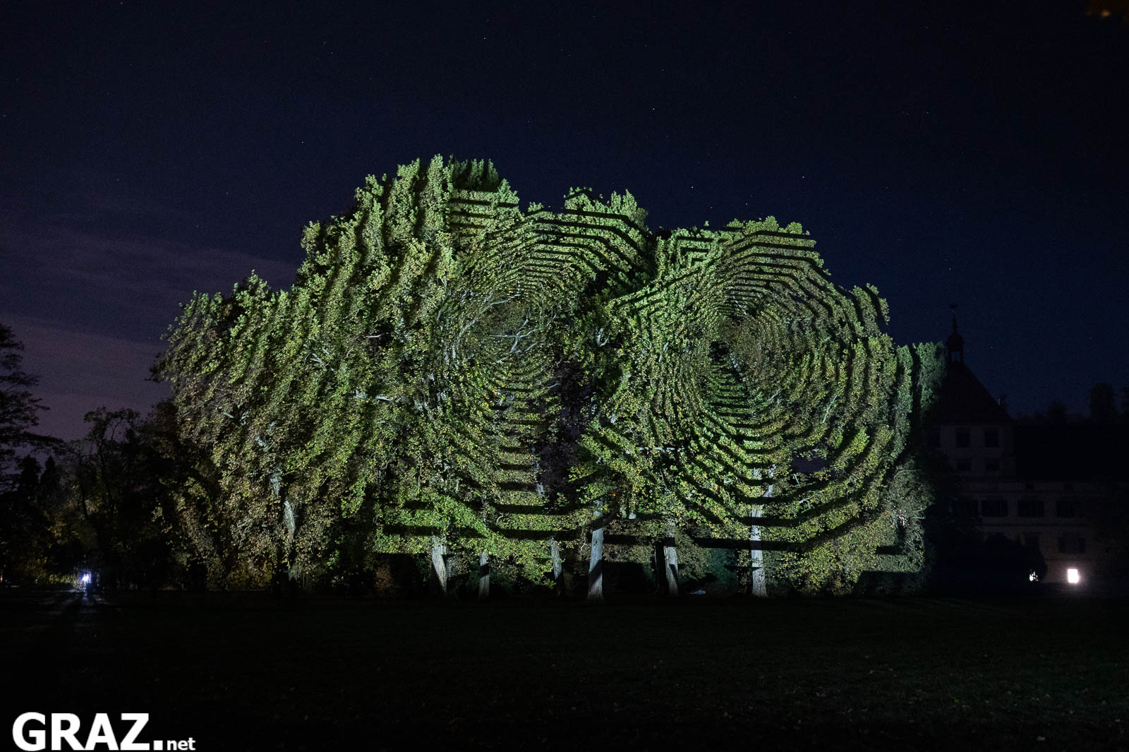 Kreisförmige grüne Lichtmuster von „Resonanzen der unsichtbaren Ordnung“ von Javier Riera auf einer Baumgruppe im Schlosspark.