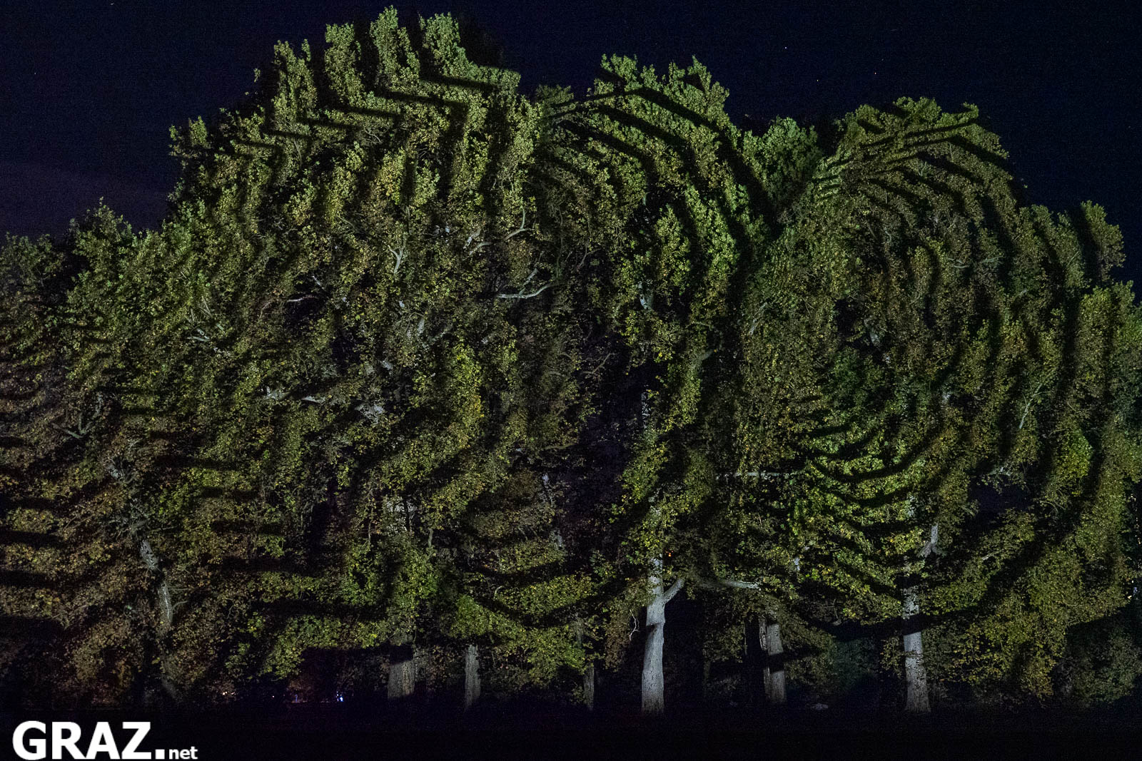 Nahaufnahme kreisförmiger Lichtlinien von Javier Rieras „Resonanzen der unsichtbaren Ordnung“ auf belaubten Baumkronen.