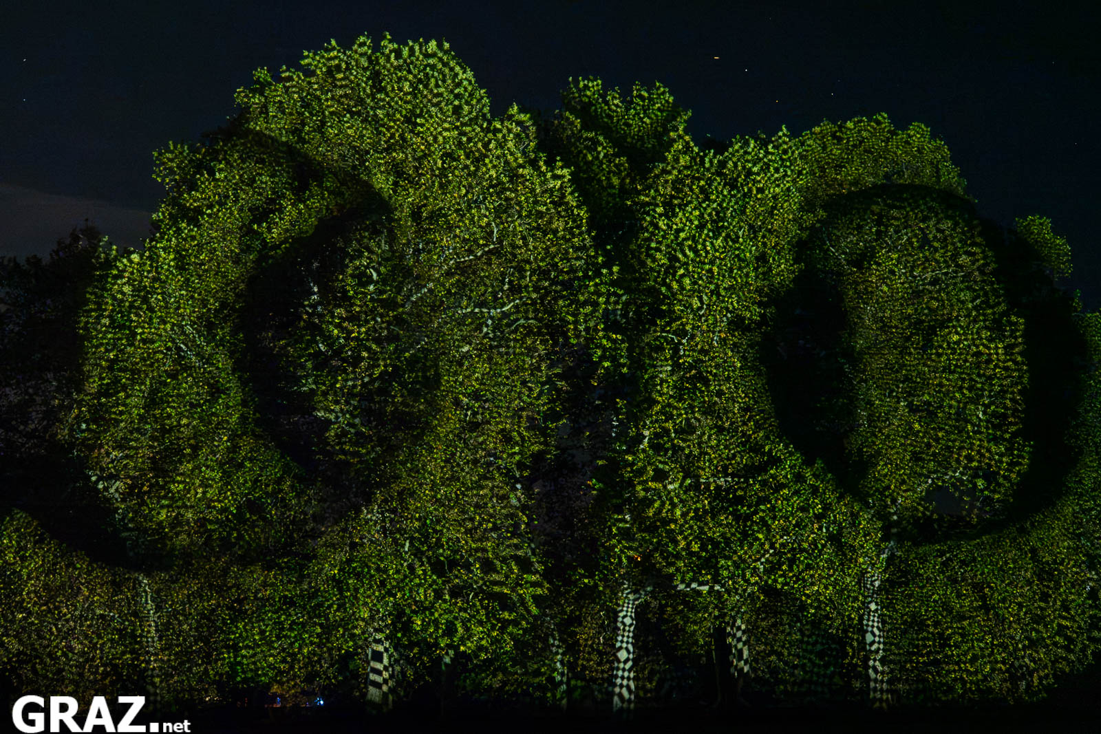 Grüne geometrische Lichtformen von Javier Rieras „Resonanzen der unsichtbaren Ordnung“ überziehen Bäume im Schlosspark Eggenberg.