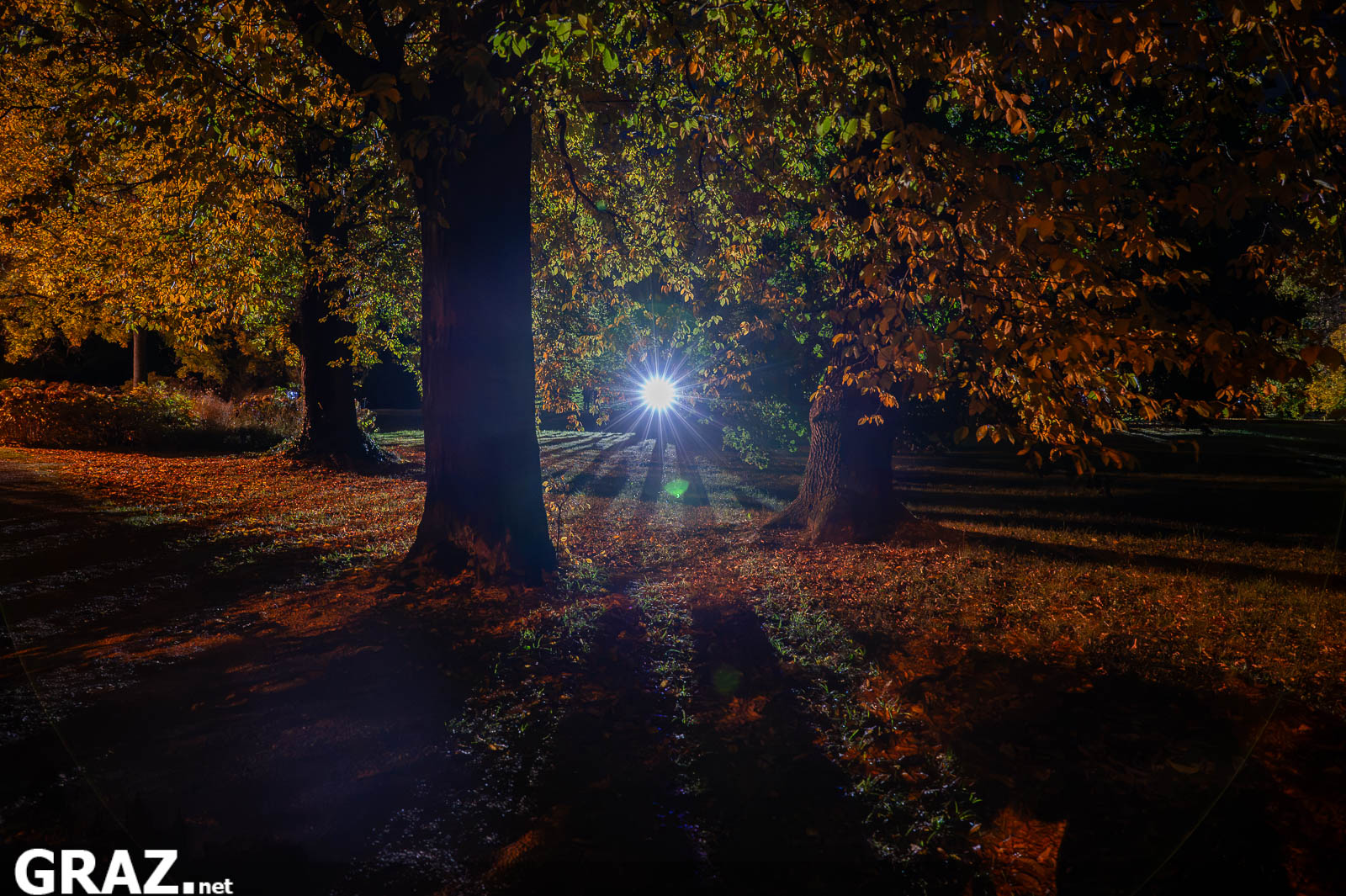 Ein Lichtstrahl zwischen herbstlichen Bäumen im Schlosspark Eggenberg bei Klanglicht Graz 2026.