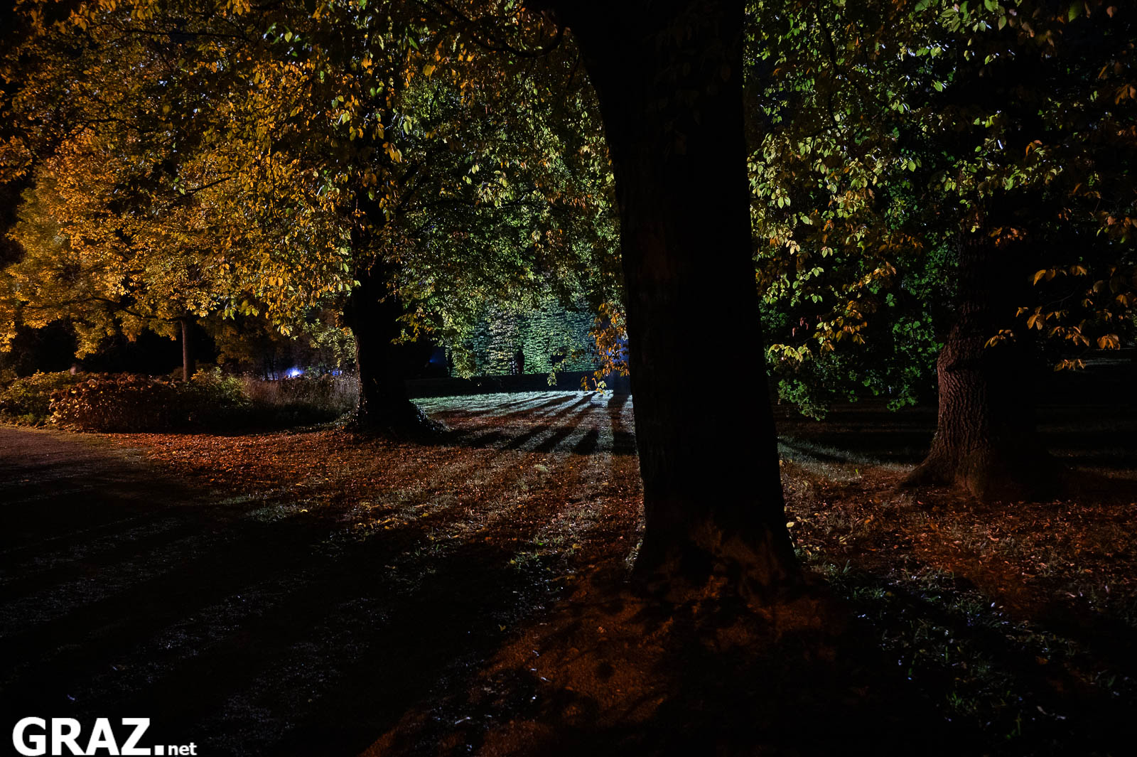 Lichtstrahlen fallen zwischen herbstlichen Baumstämmen auf den Boden des Schlossparks Eggenberg bei Klanglicht Graz 2026.